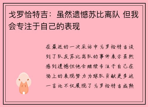 戈罗恰特吉：虽然遗憾苏比离队 但我会专注于自己的表现